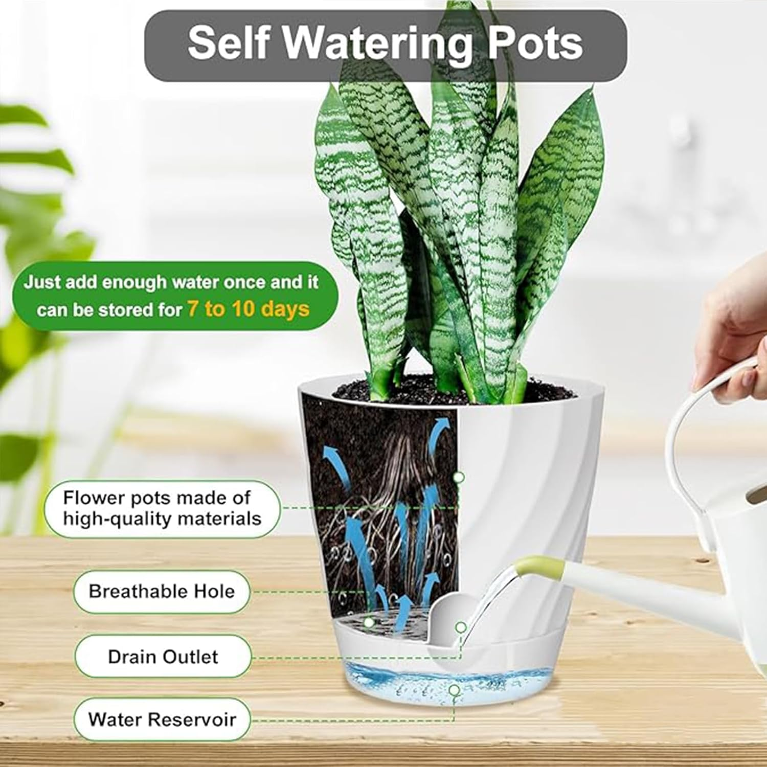 MLKLDOU 6 Inch Indoor Self Watering Pots with Indoor Planter Pot,3 Pack Plastic Plant Pots with Reservior and Drainage Holes,Pots Planters for Outdoor Garden Succulent Orchid Flower Pot（3 Colors） image number 4