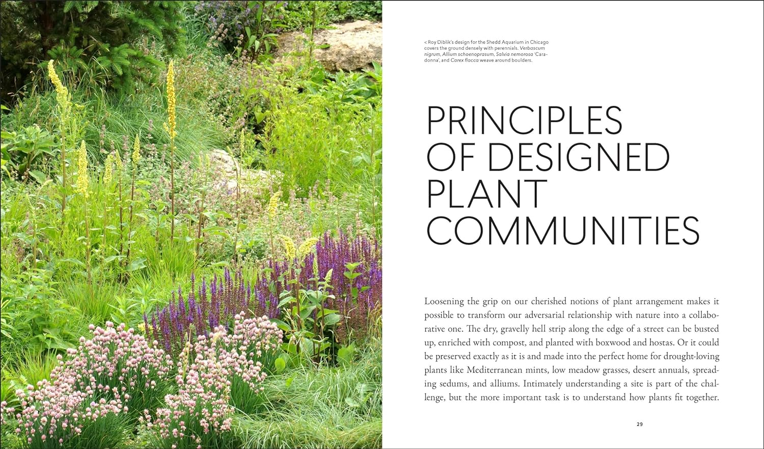 Planting in a Post-Wild World: Designing Plant Communities for Resilient Landscapes image number 2