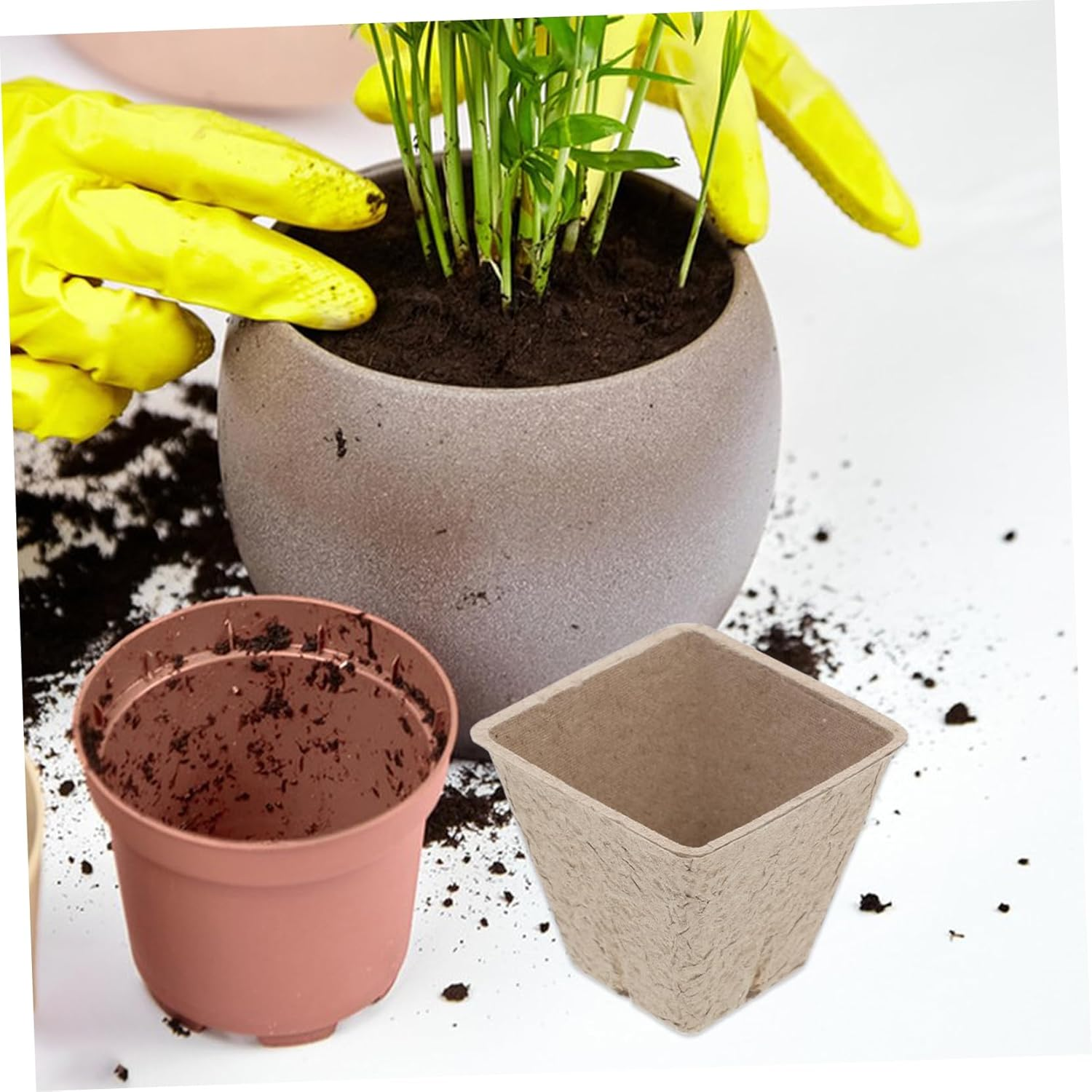 Happyyami 50Pcs Boys and Girls Paper Seedling Pots DIY Flower Pot for Gardening Drainage Holes