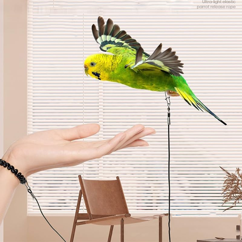 Wishlotus Parrot Flying Rope 3M - Ultra Light anti Bite Bird Flying Training Leash, Portable Parrot Foot Chain for Outdoor Flight Training, Pet Training Rope (Blue)