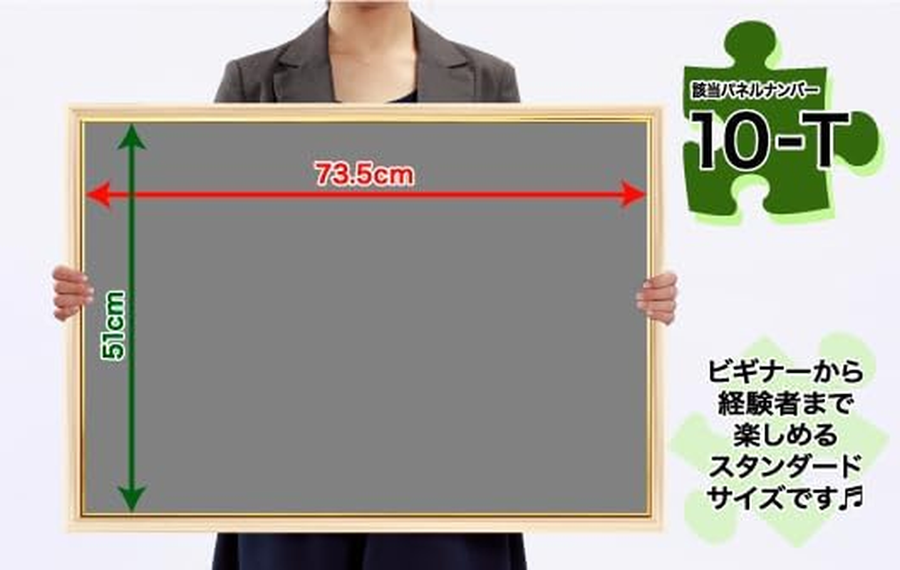 Epoch Corporation [Made in Japan] Aluminum Puzzle Frame, Panel Max Plus, White, 20.1 X 29.9 Inches (51 X 73.5 Cm) (Panel No.10-T), Includes 2 Backboards, Hanging Strings, Cell Cover, UV Protection, image number 1