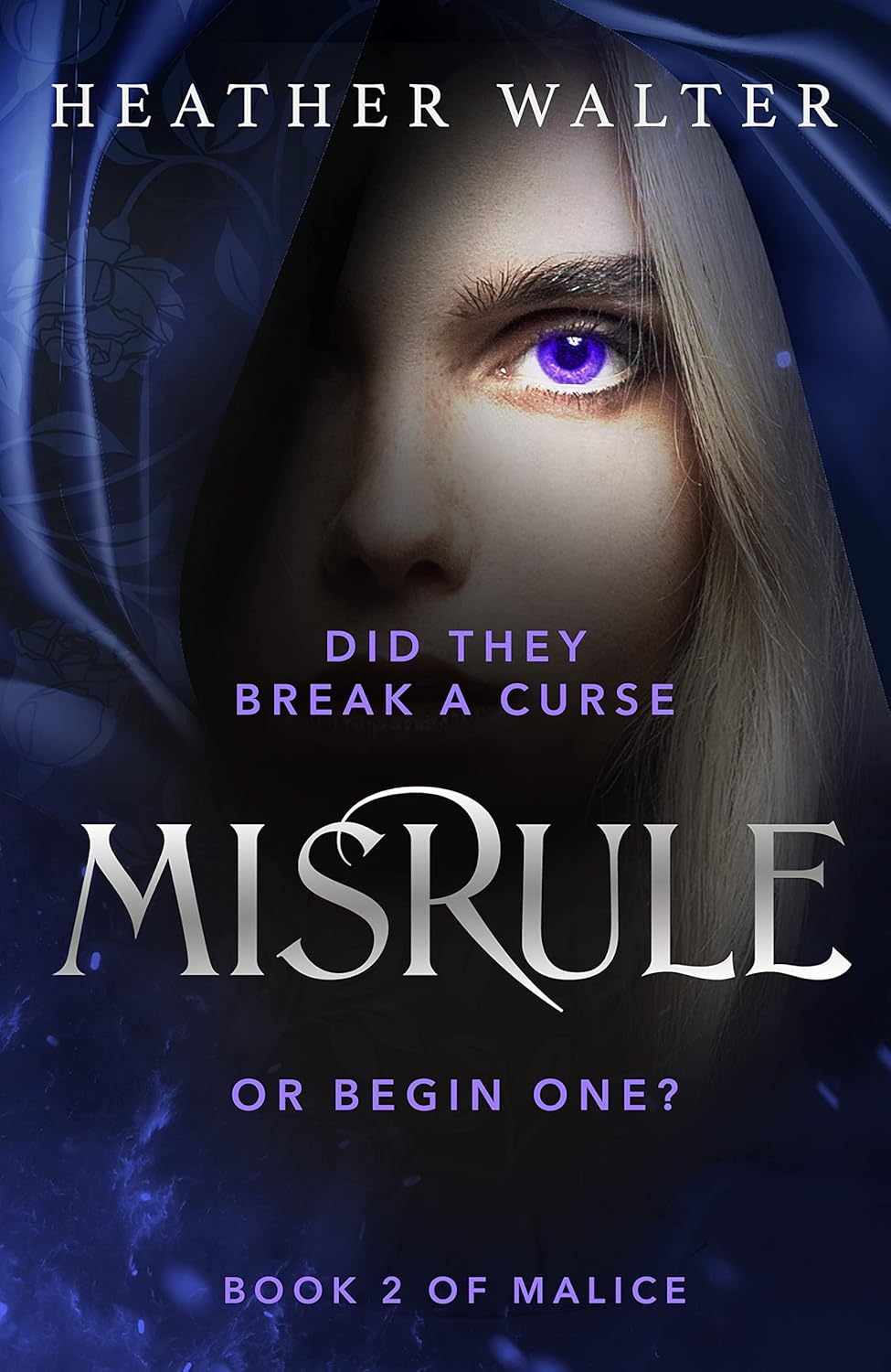 Misrule: Book Two of the Malice Duology: 2 image number 1
