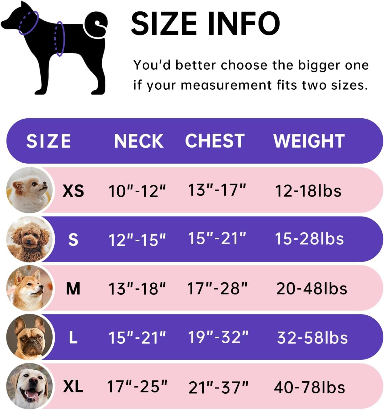 IVY&LANE No Pull Dog Harness for Small Dogs, Dog Vest Harness with Leash, Safety Belt and Storage Strap, Fully Adjustable Harness, 360&deg; Reflective Strip, Soft Handle (Purple, S) image number 3