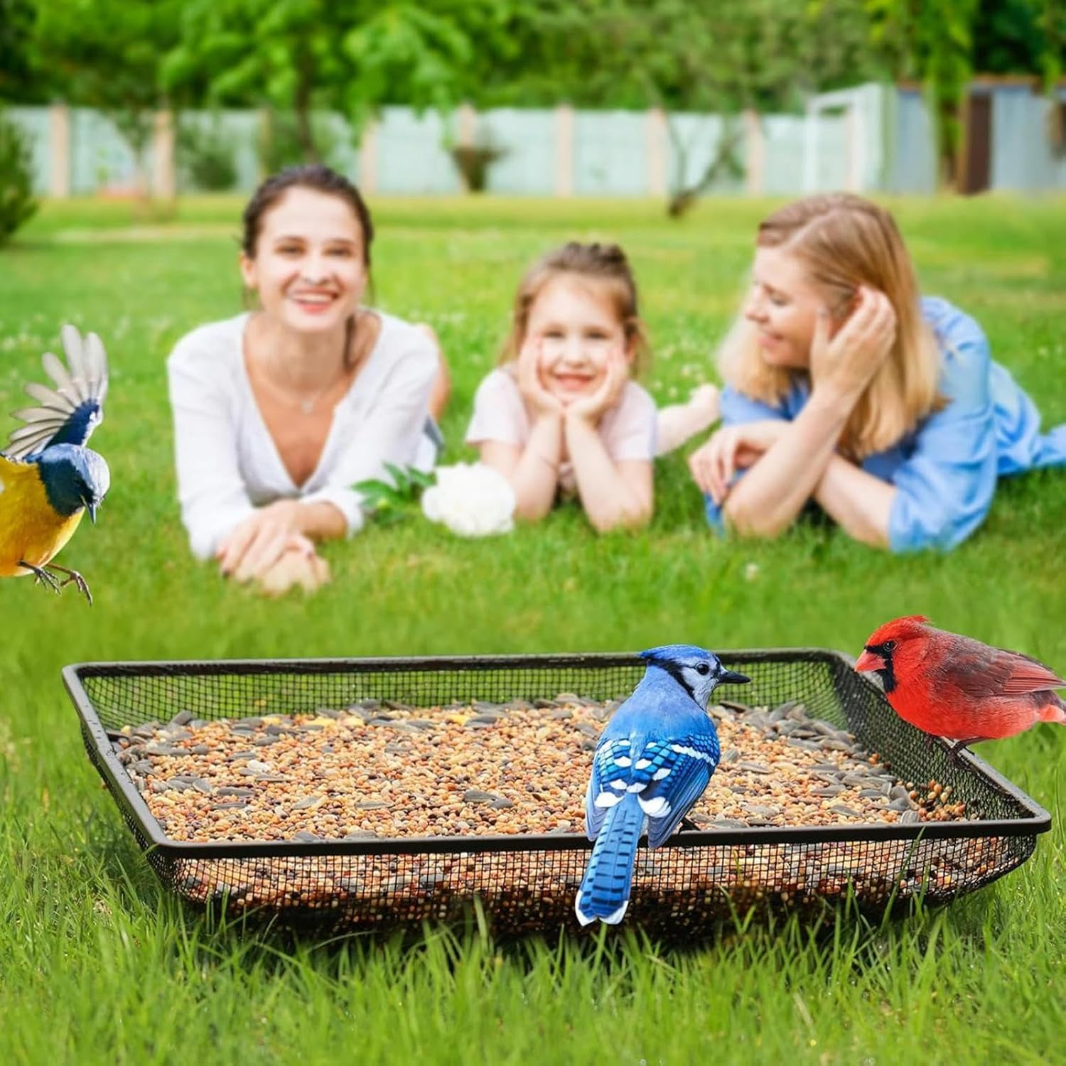 Bird Feeders for Outdoors,Ground Humming Bird Feeder Tray | Metal Mesh Bowl Feeding Supplies Station, Pet Supplies for Bunny Crow Blue Jay Squirrel Garden Decor Outside image number 5
