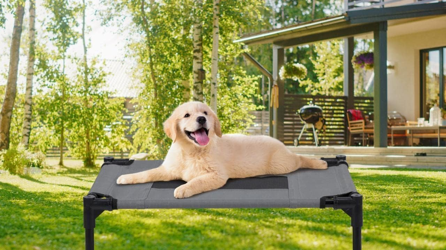 Maxxpro Dog Bed on Legs - Good Ventilation - Includes Carry Bag - Max 20Kg - Small image number 2