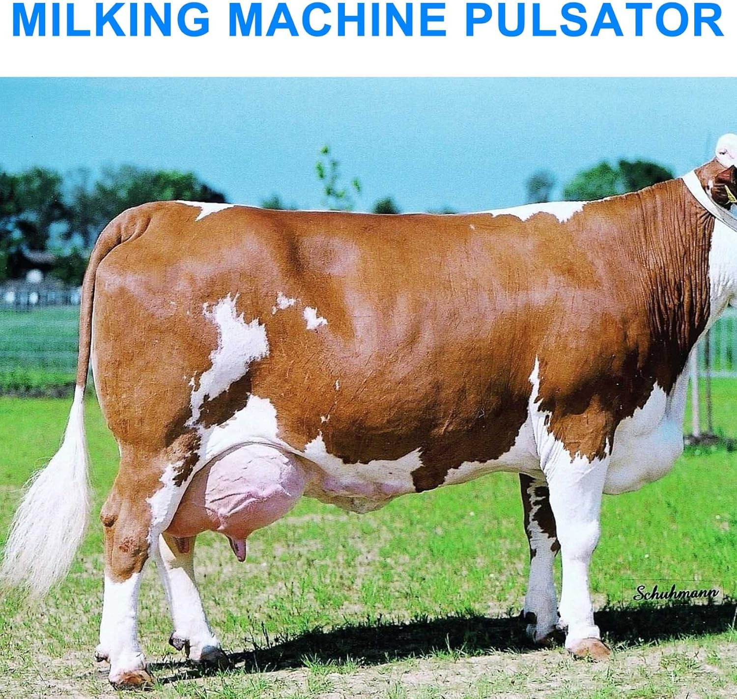 Plastic Milking Machine Pulsator L90 Pneumatic Milk Pneumatic Pulsator for Cow Sheep Milk Machine Parts with 2 Outlets image number 5