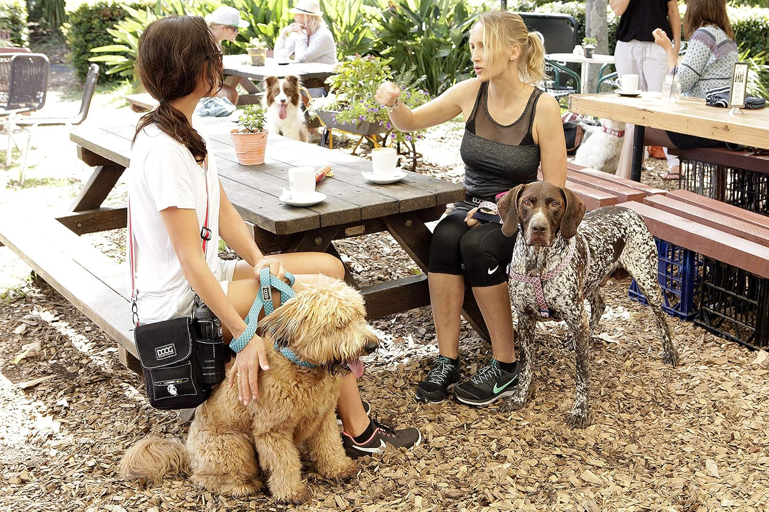 Doog&rsquo;S Neoprene Padded Lead with Soft Handle &ndash; Durable with Comfortable to Use for Running, Hiking, and Walking with Your Dog (Pongo, Small)