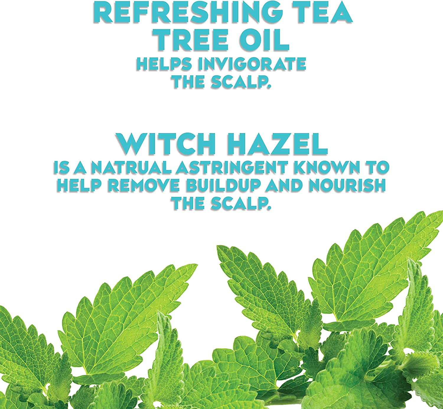 OGX Extra Strength Refreshing + Invigorating Teatree Mint Dry Scalp Treatment with Witch Hazel Astringent to Help Remove Scalp Buildup, Paraben-Free, Sulfate Surfactant-Free, 4 Fl Oz image number 1