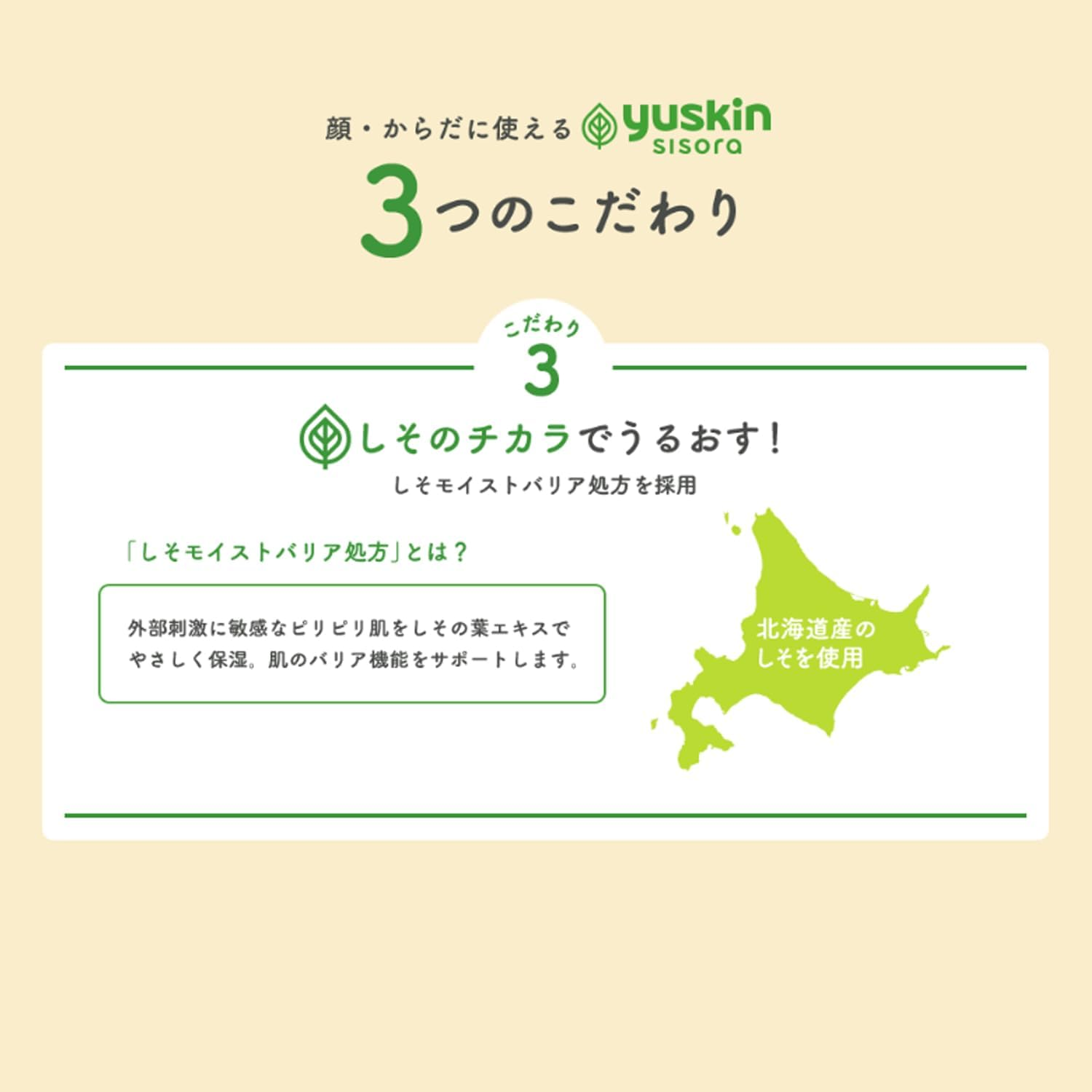 Yuskin Shisora Body Shampoo Refill Pouch, 13.5 Fl Oz (400 Ml), Quasi-Drug image number 3