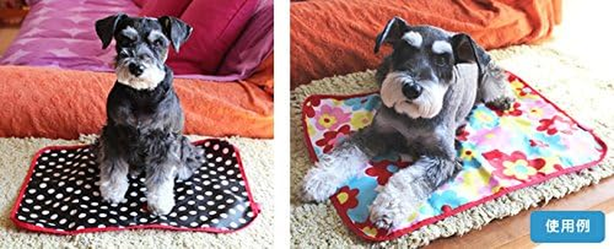 Hanna Hula Pet Cafe Mat Dog Cat Colorful Apple