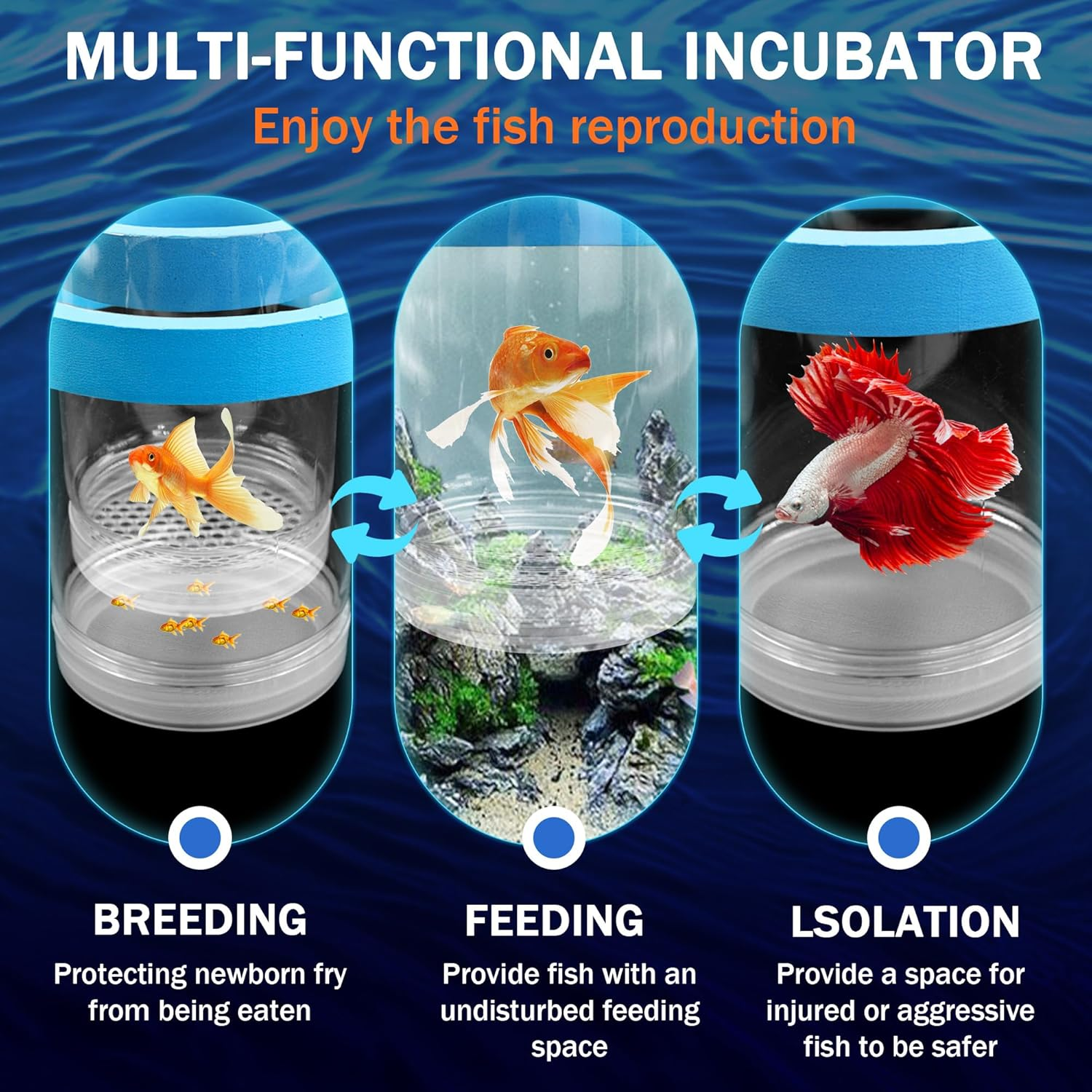 Small Floating Fish Breeding Box, Plastic Breeding Box for Fish Tank with Suction Cup, Clear Aquarium Divider Incubator, Adjustable Isolation Hatchery for Shrimp Guppy (Small) image number 6