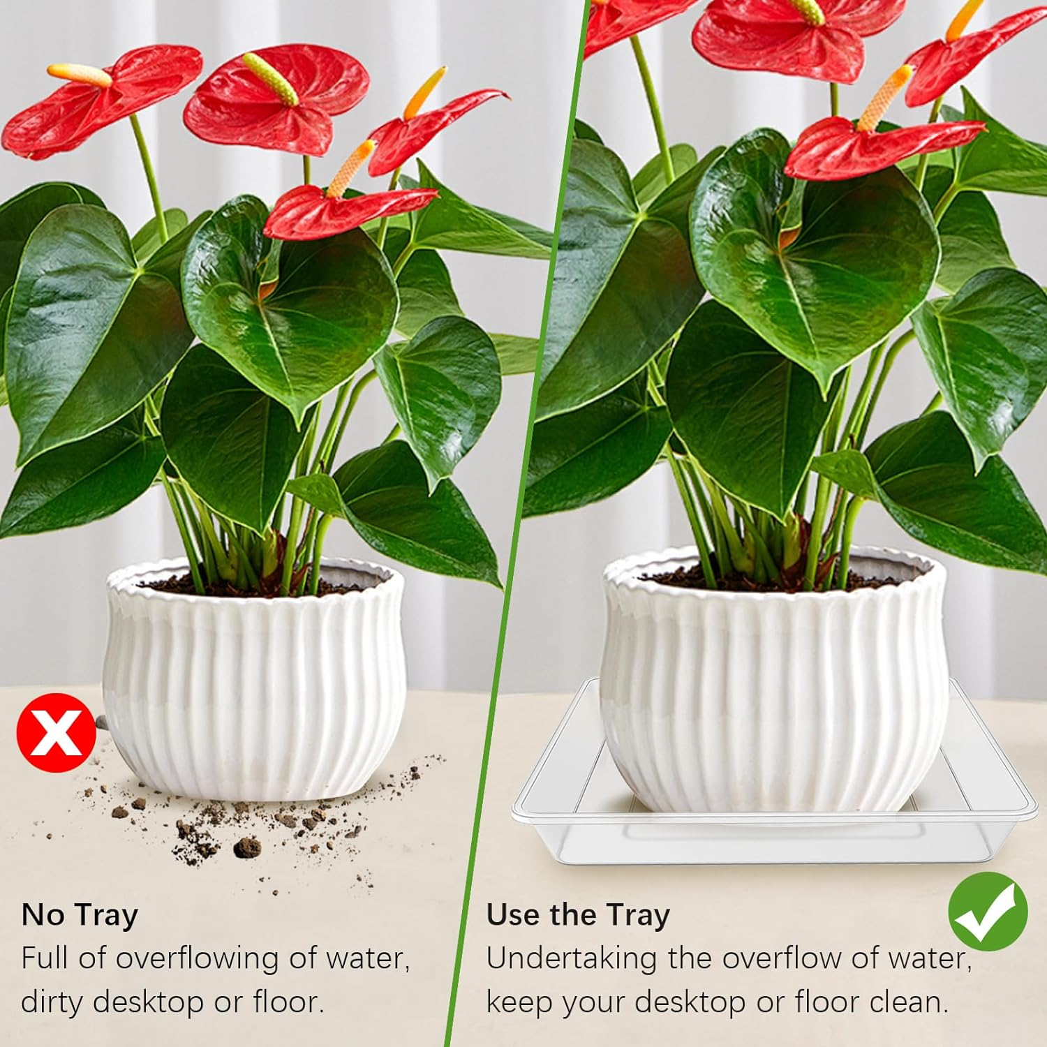 6 Pack 6 Inch Square Clear Plant Saucer, Durable Thick Plant Pot Dish for Flower Pot, Plastic Plant Tray to Catch Water for Indoor Outdoor image number 4