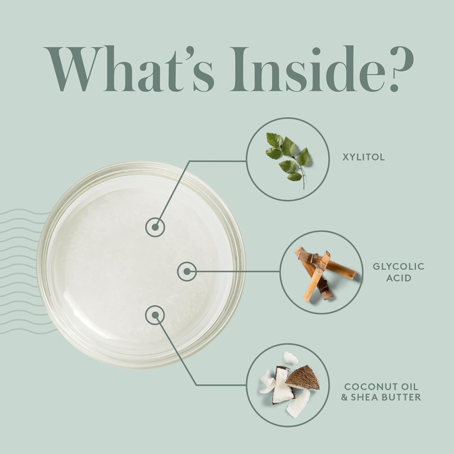 Livso Moisturising Shampoo image number 3