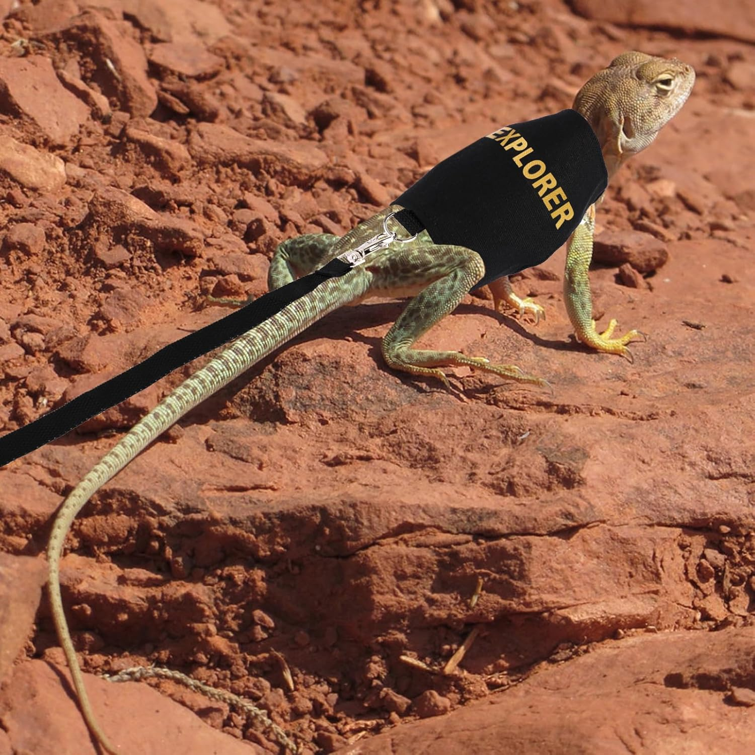 Bearded Dragon Leash & Preservation Set, Bearded Dragon Accessories Adjustable Reptile Lizard Tool for Chameleon Small Pet Plaza Safe Walk Outside image number 4