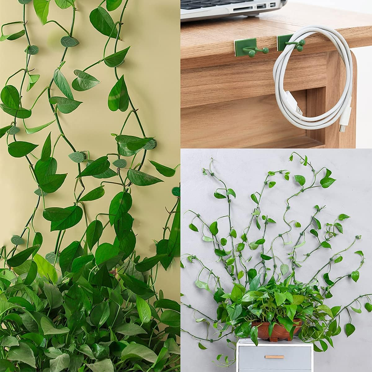 100 Pcs Plant Climbing Wall Fixture Clips Self-Adhesive Hook Vines Traction Clips Invisible Holder Garden Green Leaf Simulation Self-Adhesive Hook Wire Fixing Supporting