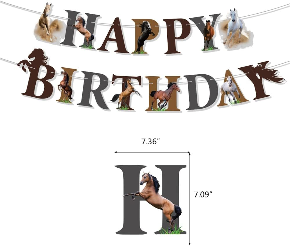 Spirit Riding Horse Birthday Party Supplies - Horse Happy Birthday Banner, Balloons, Cake Cupcake Toppers for Kid Western Cowboy Pony Party Decoration image number 3
