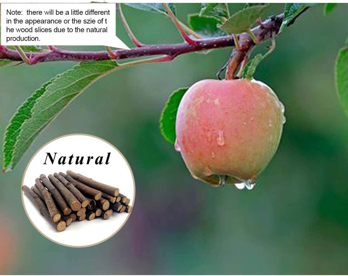 William Craft (100G Apple Sticks Pet Chew Toys Treats for Chinchilla Guinea Pigs Rabbits Squirrel Hamster image number 2