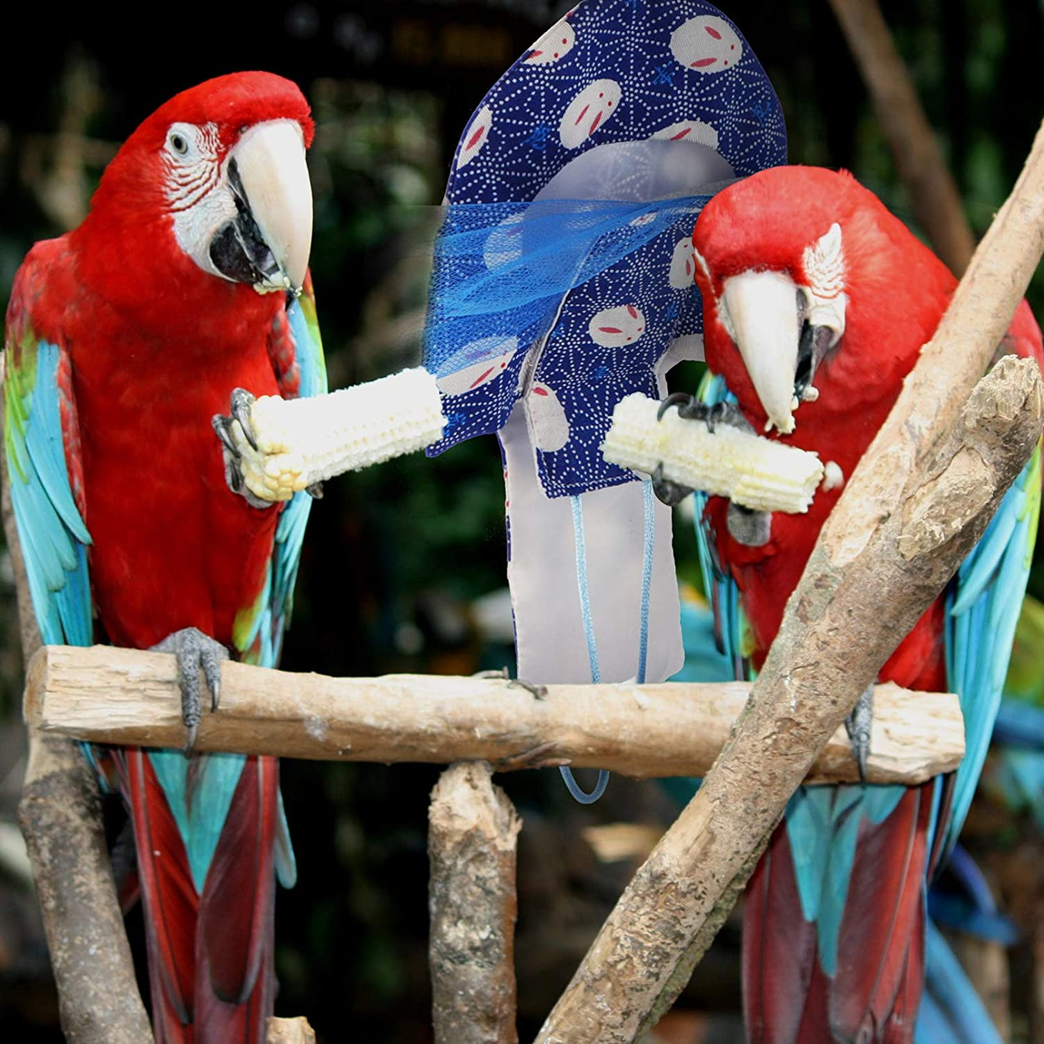 POPETPOP Bird Diaper Parrot Washable Nappies Flight Suits Reusable Pet Clothes Supplies XL image number 6