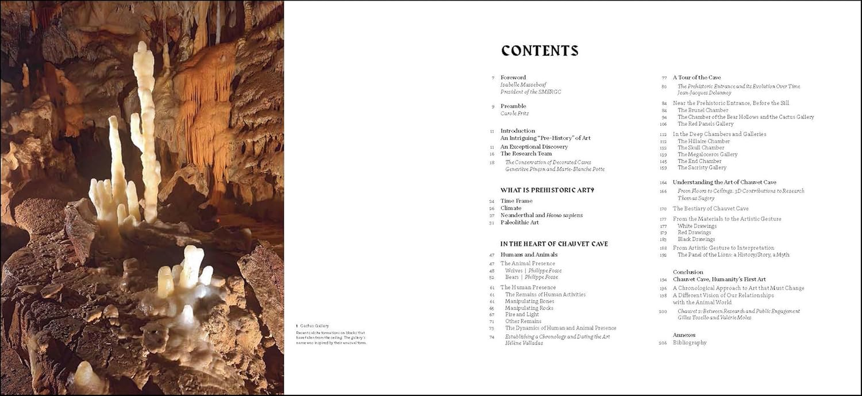 Chauvet Cave: Humanity'S First Great Masterpiece