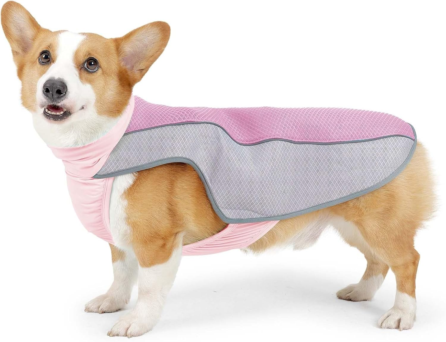 IUOUTG Dog Cooling Shirts Puppy Cooling Vest with Reflective Stripe Lightweight Breathable Mesh Dogs Cooling Jacket Summer Pet Pullover Vest for Hot Weather Outdoor Cooler Dogs Clothing
