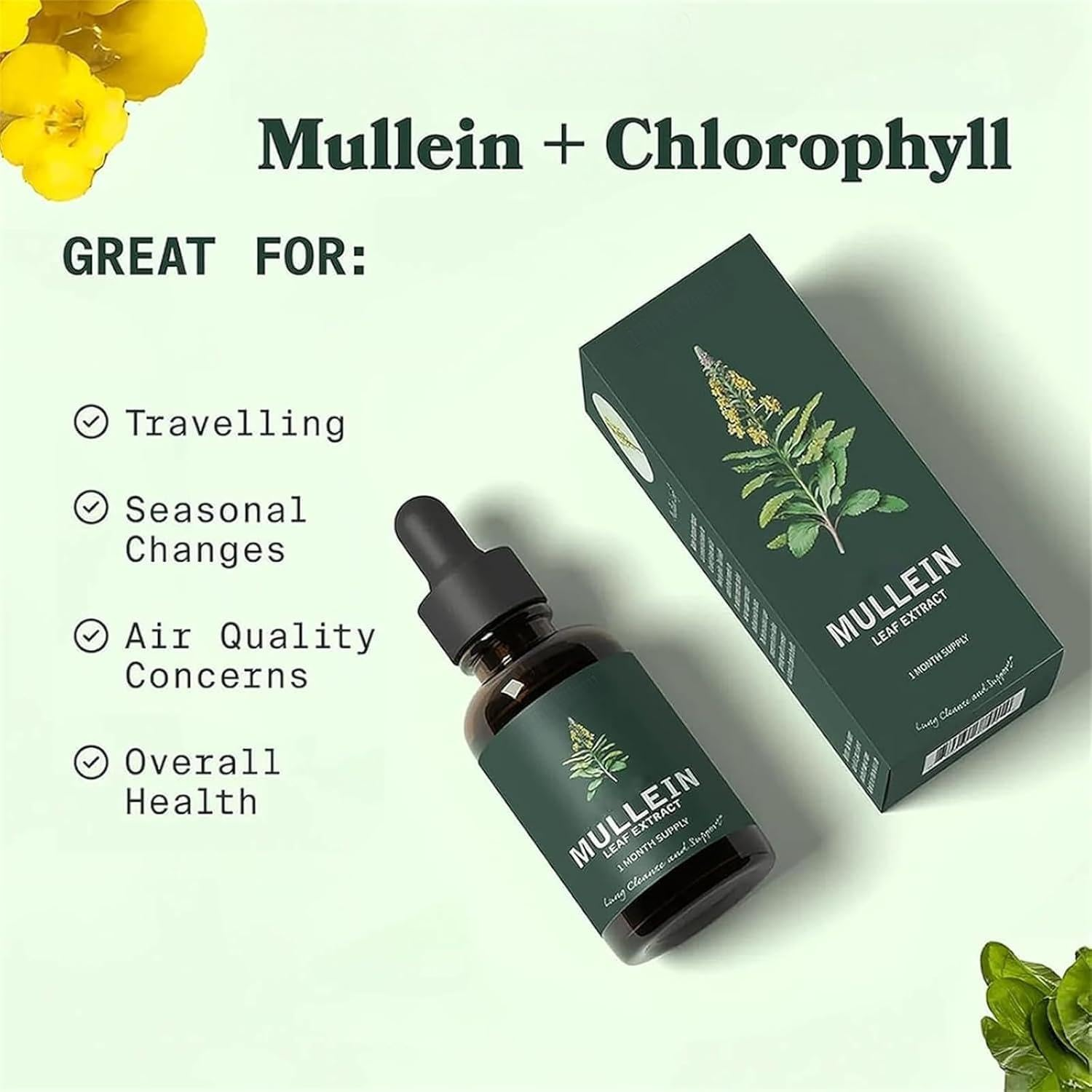 Organic Mullein Leaf Liquid Extract - Alcohol-Free Herbal Drops | Fast-Absorbing Formula - 60Ml image number 5