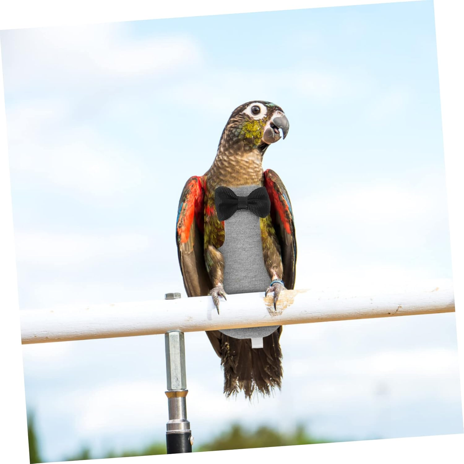 Parrot Nappy Pant Washable Bird Diaper Bird Cosplay Clothing Parrot Flight Suit Comfortable Bird Costume image number 5