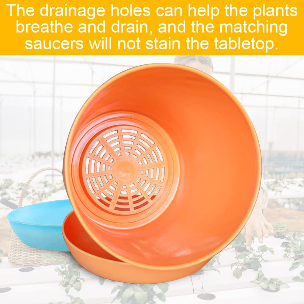 36Pcs 4 Inch Plastic Plant Pot Set, FHDUSRYO 16 Small Flower Pots with Saucers, Thickened Seedlings Nursery Pots with 18 Label 2 Tool, Colorful Flower Plant Container Seed Starting Pot for Home Garden image number 2