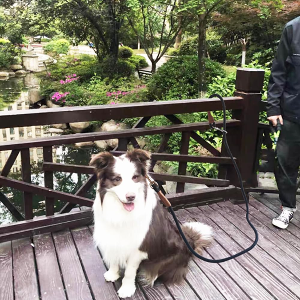 YUCFOREN 6 Foot Dog Tie Out Rope Leash, Training Tie down Heavy Duty Climbing Nylon Basic Leash for Camping, Indoor, Outdoor and Front Yard image number 4