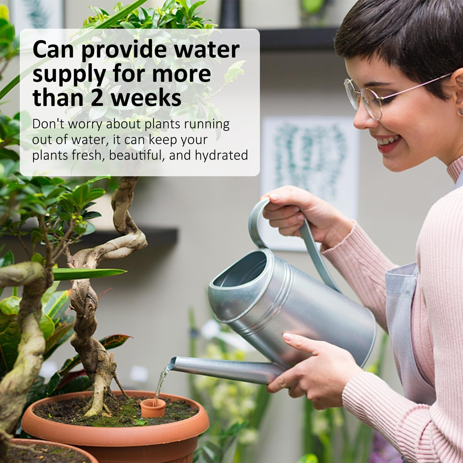 Plant Watering Globes, 4 Pack Terracotta Pots Self Watering Pots, Slow Release Olla Watering Pots While Away - Self Watering Spikes for Indoor & Outdoor Plants with Easy Top Refill System image number 6