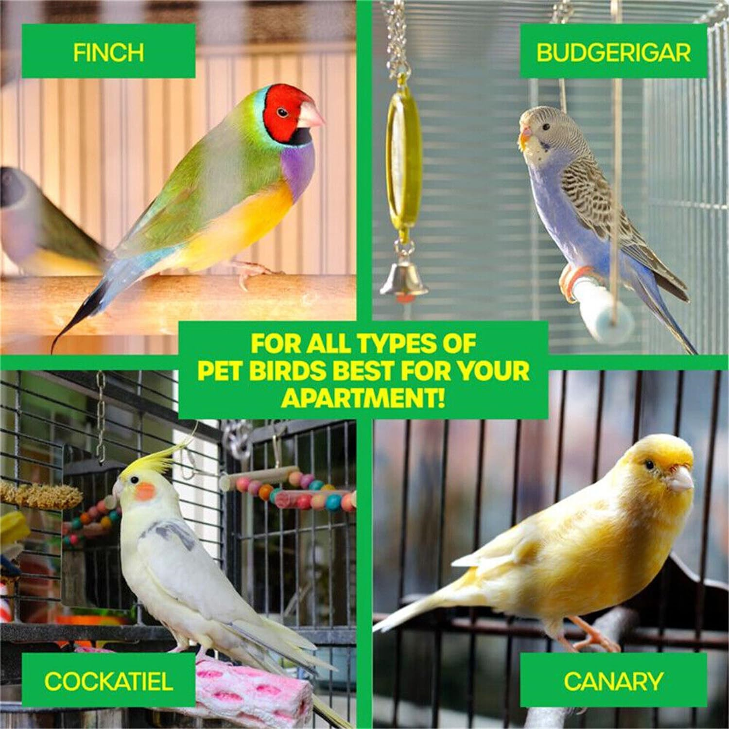 Leona Co Stainless Steel Pet Feeder Water Bowl 240Ml Bird Parrot Feeders Water Cage Bowls with Holder Bird Feeding Dish Cups for Bird Parrot Small Animal image number 1