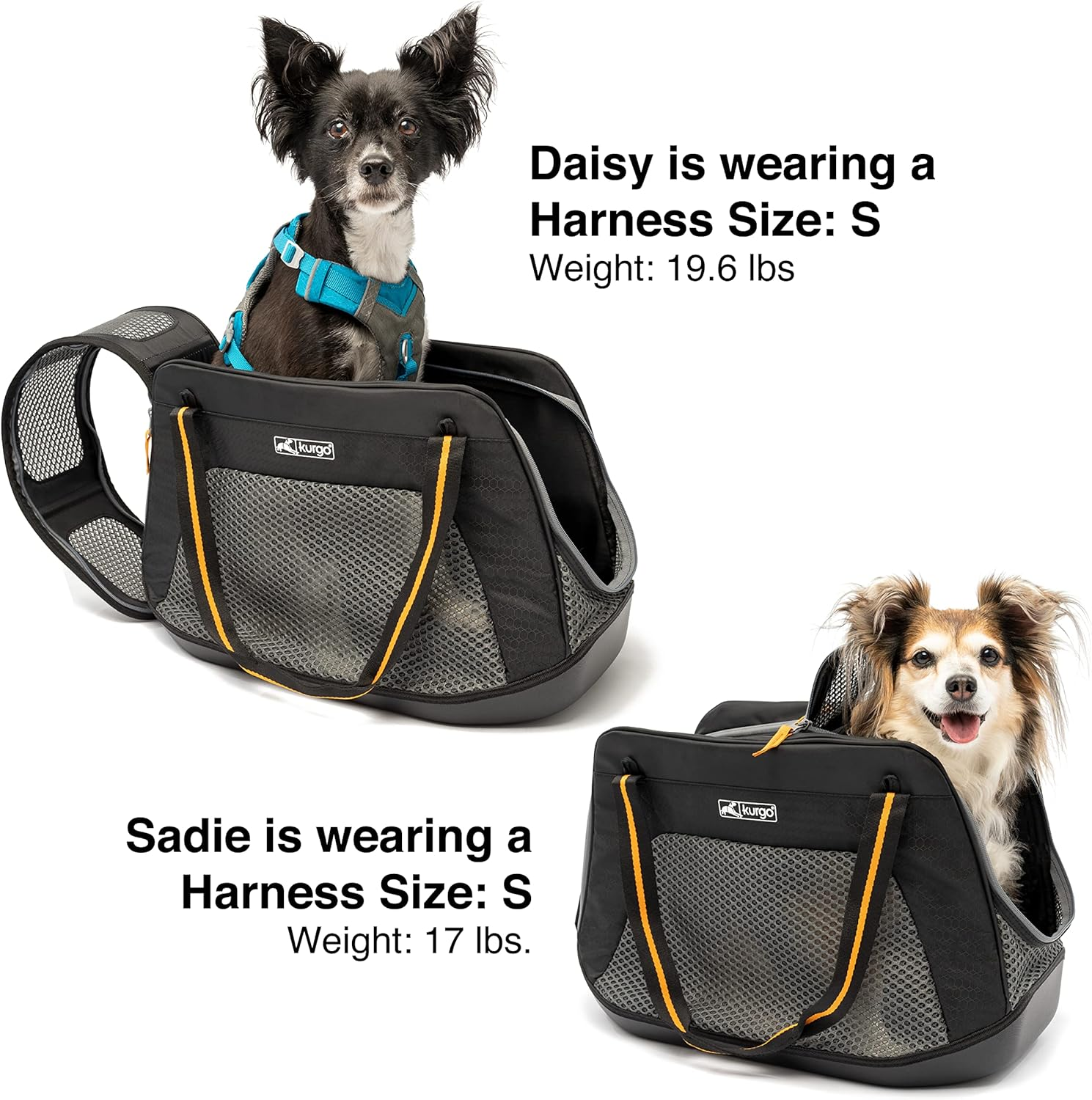 Kurgo Explorer Dog Carrier Bag, Black image number 2