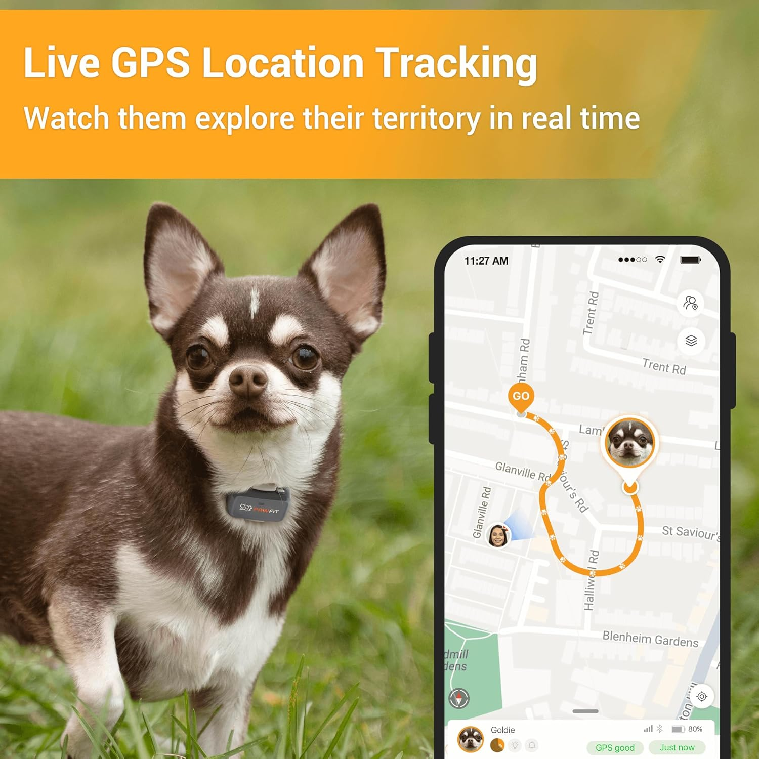 Pawfit Lite for Small Dogs 4G GPS Tracker | Real Time Tracking | Activity Monitoring |Location History | Unlimited Range | Charcoal Grey image number 1