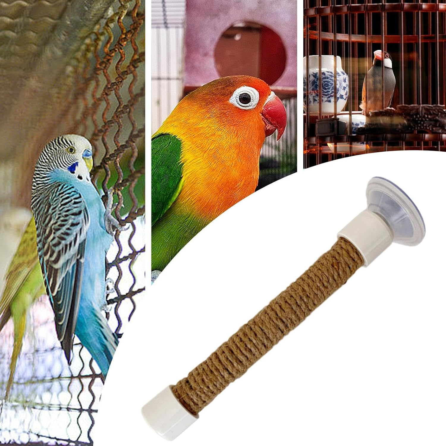 Parrot Shower Perch | Parakeet Training Stand - Suction Cup Portable Perch Cage Accessories for Bird Macaw Parakeet for Window Car Bath Training Uses image number 2
