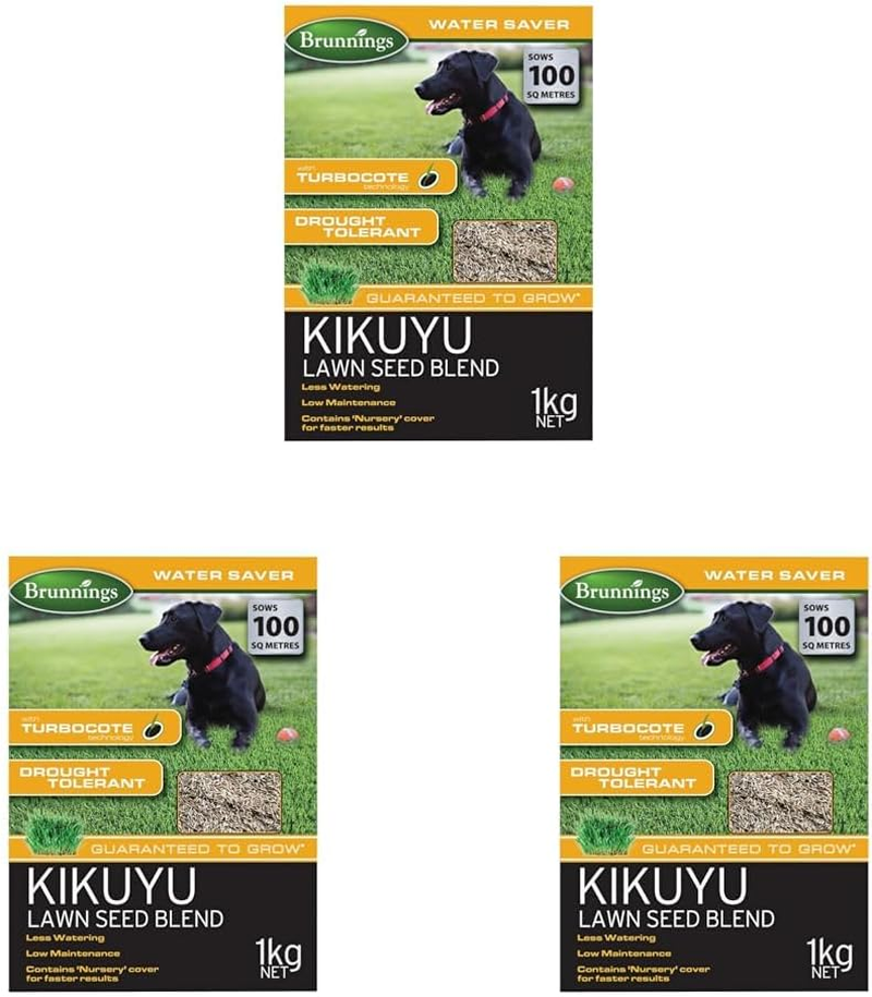 Brunning Kikuyu Lawn Seed Blend 1 Kg, Brown image number 2
