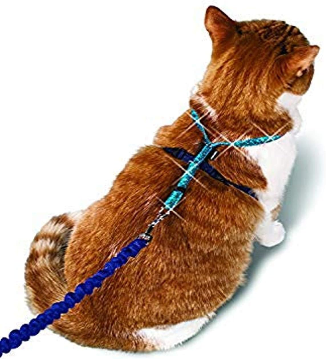 Petsafe Come with Me Kitty Glitter Harness and Bungee Cat Leash, Large image number 3