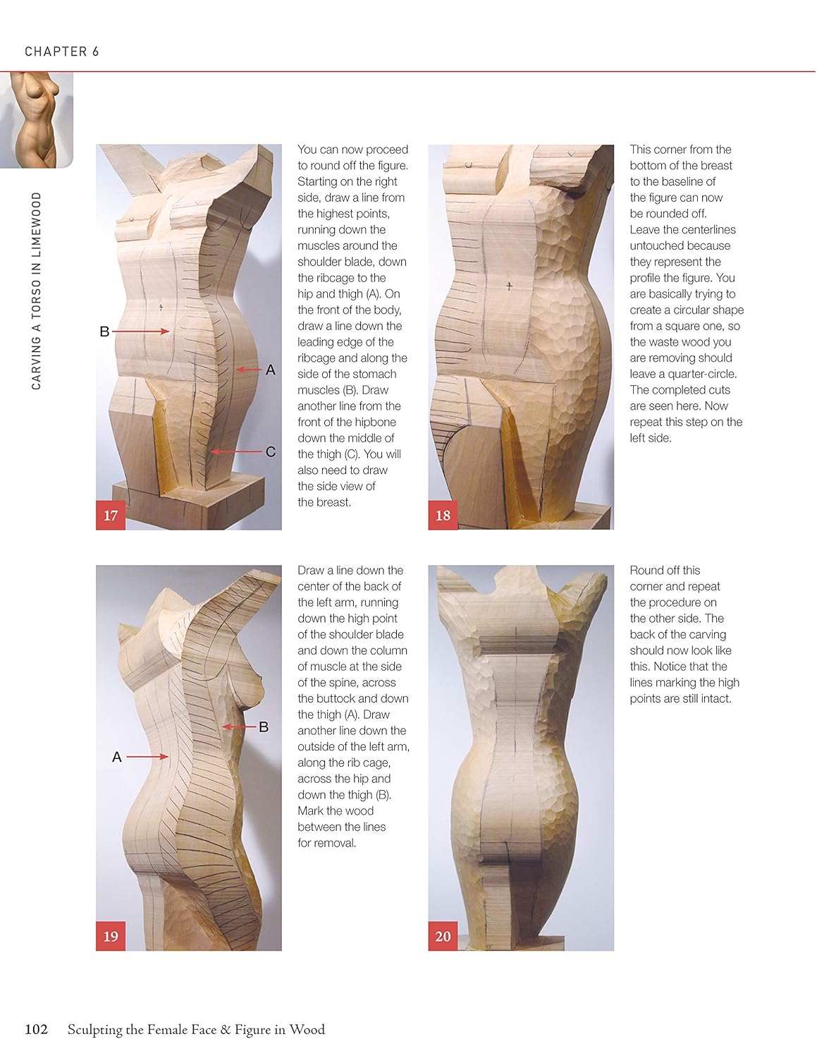 Sculpting the Female Face & Figure in Wood: a Reference and Techniques Manual image number 1