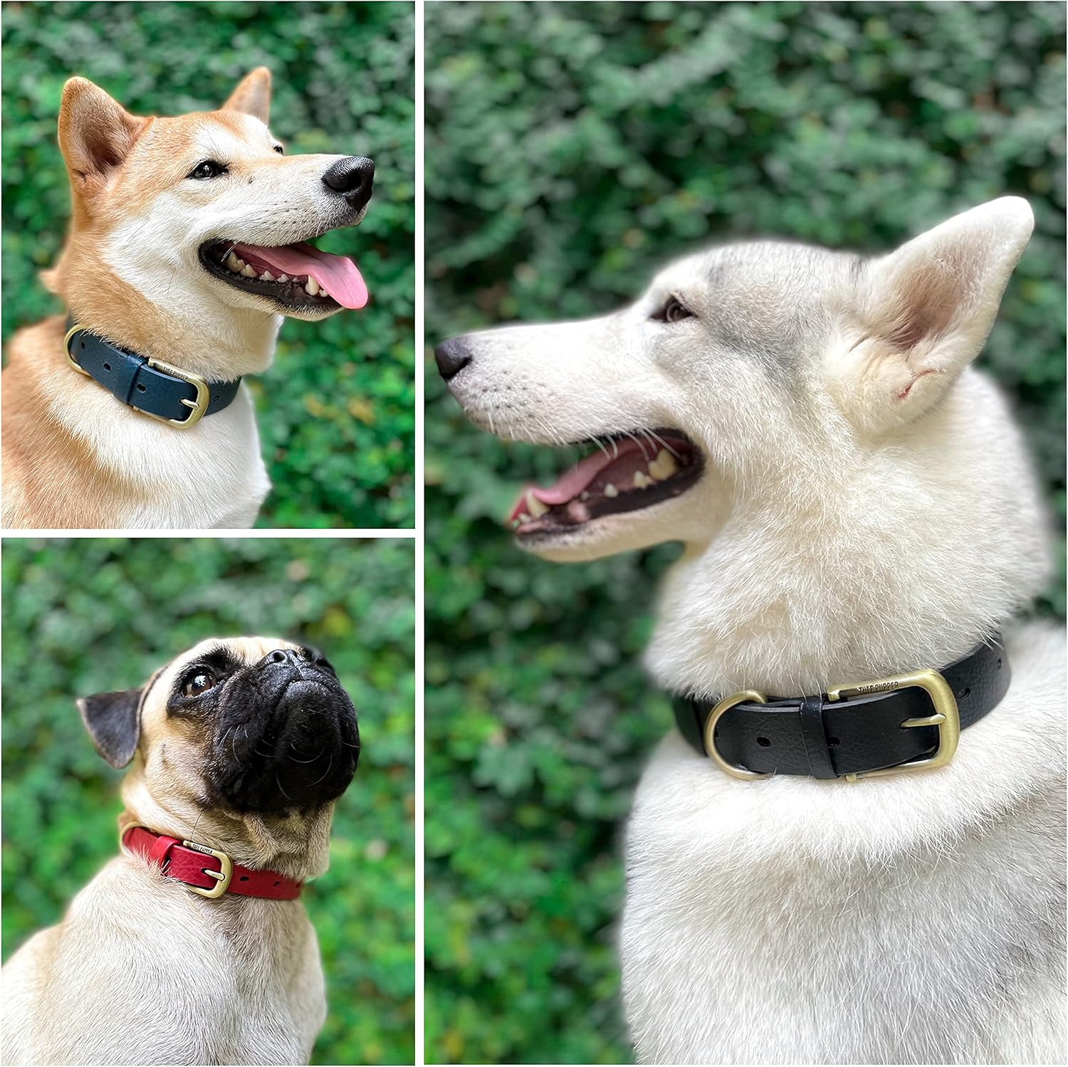 Tuff Pupper Lifetime Heavy Duty Classic Dog Collar | 10X Stronger than Leather | 100% No Absorption Waterproof | No Stink Odor Free | Rust-Proof Brass Hardware | Convenient Sizing for All Breeds image number 3