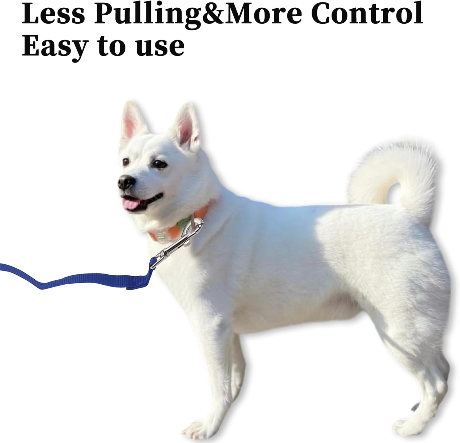 CAPASTEC Training Lead for Dogs, 19.7 Ft Puppy Leashes with Foam Handle, Blue