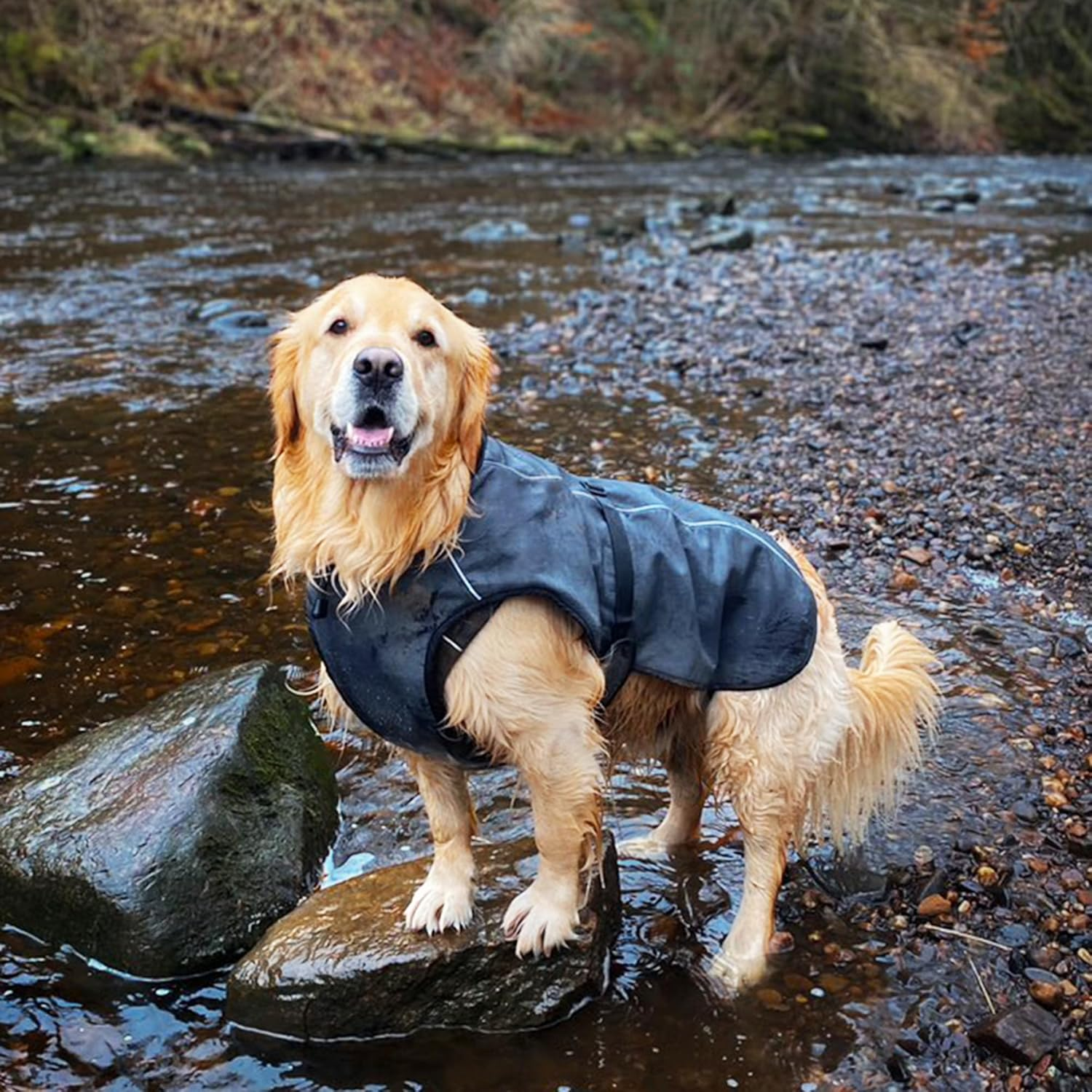 Dog Winter Coat - Waterproof Heat-Reflective Insulated Vest, Snow Jacket, Quick Adjust Fit, Warm and Cozy Cold Weather and Rain Wear for Small to Large Breeds (Dark Gray, Large) image number 5