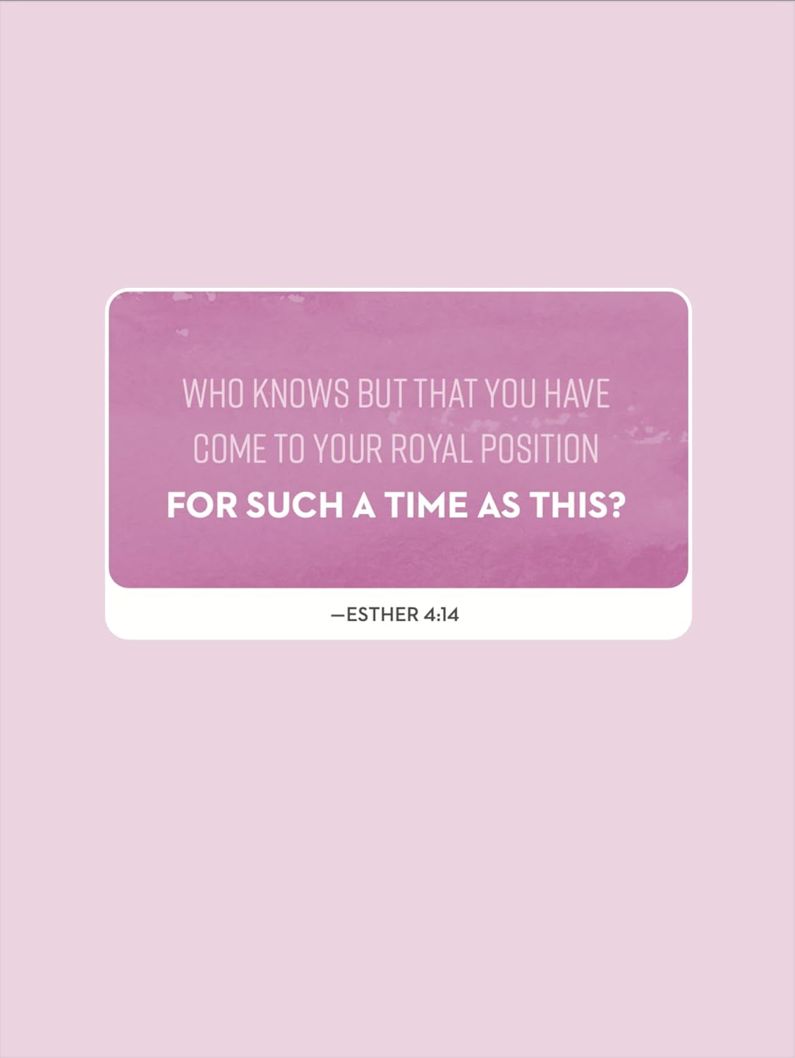 To the Girl Looking for More: 90 Devotions to Help You Ditch the Lies, Love Yourself, and Live Big for God image number 6