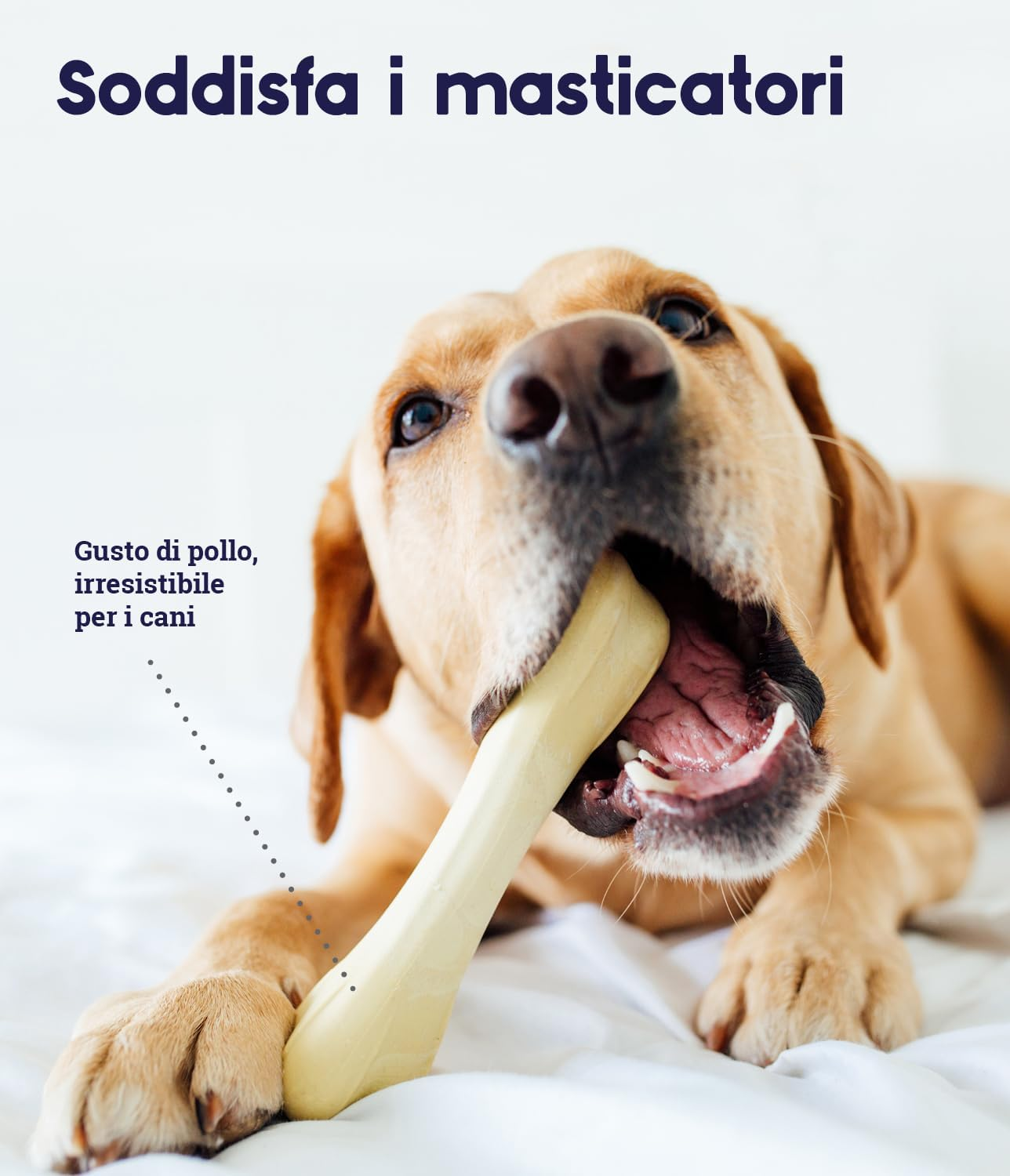 Petstages Chick-A-Bone Dog Chew Toy, Large image number 5