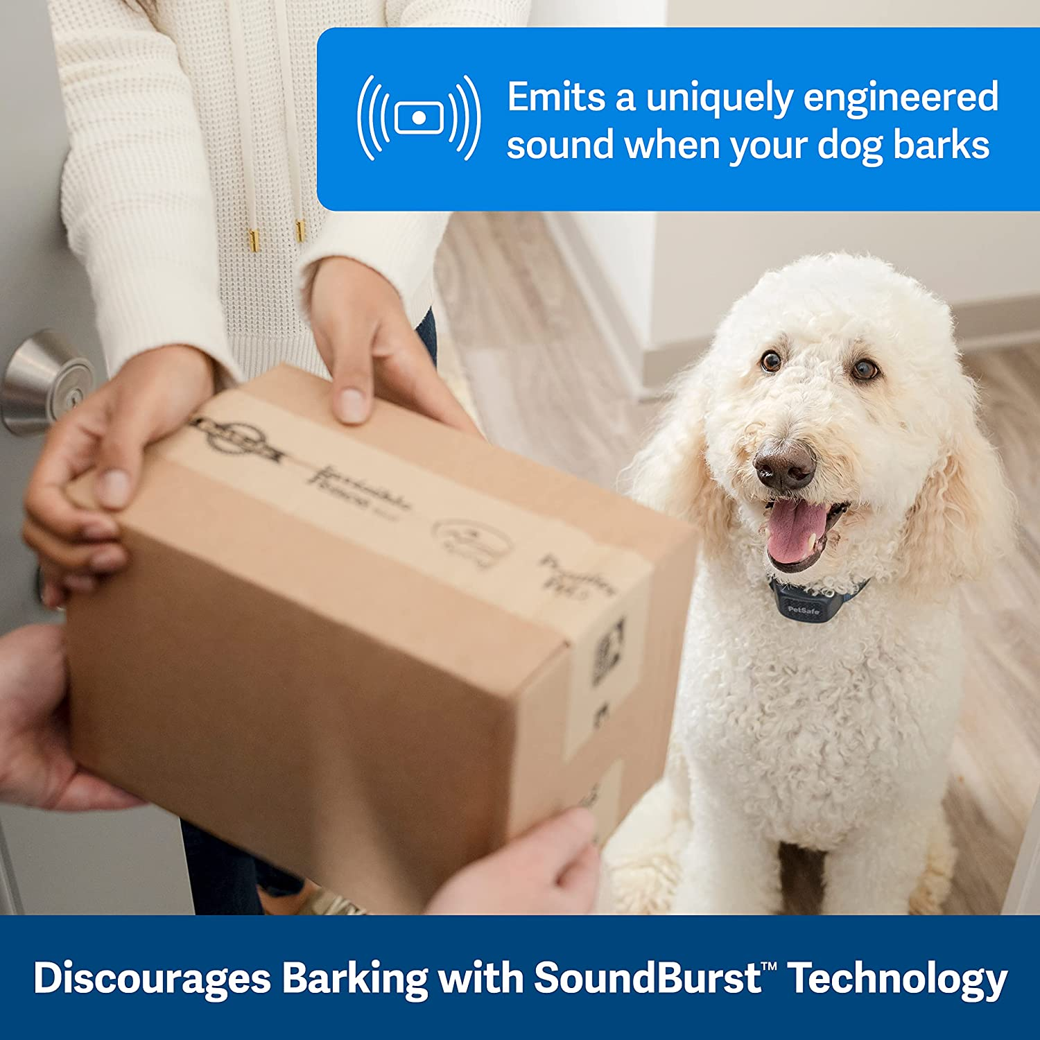 Petsafe&reg; Audible Bark Collar Navy image number 6