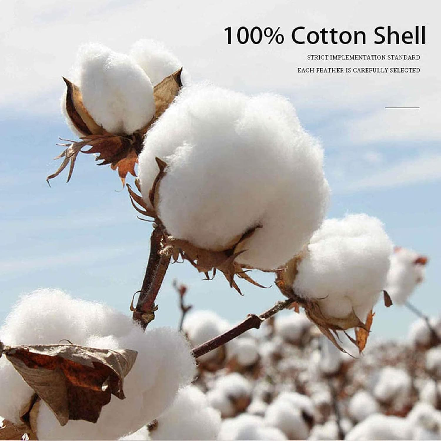 2 Pcs Goose down Pillow, Luxury Australia 100% White Goose down Pillow, Cotton Fabric, Luxury 900 Fill Power, King Size,Coffee image number 6