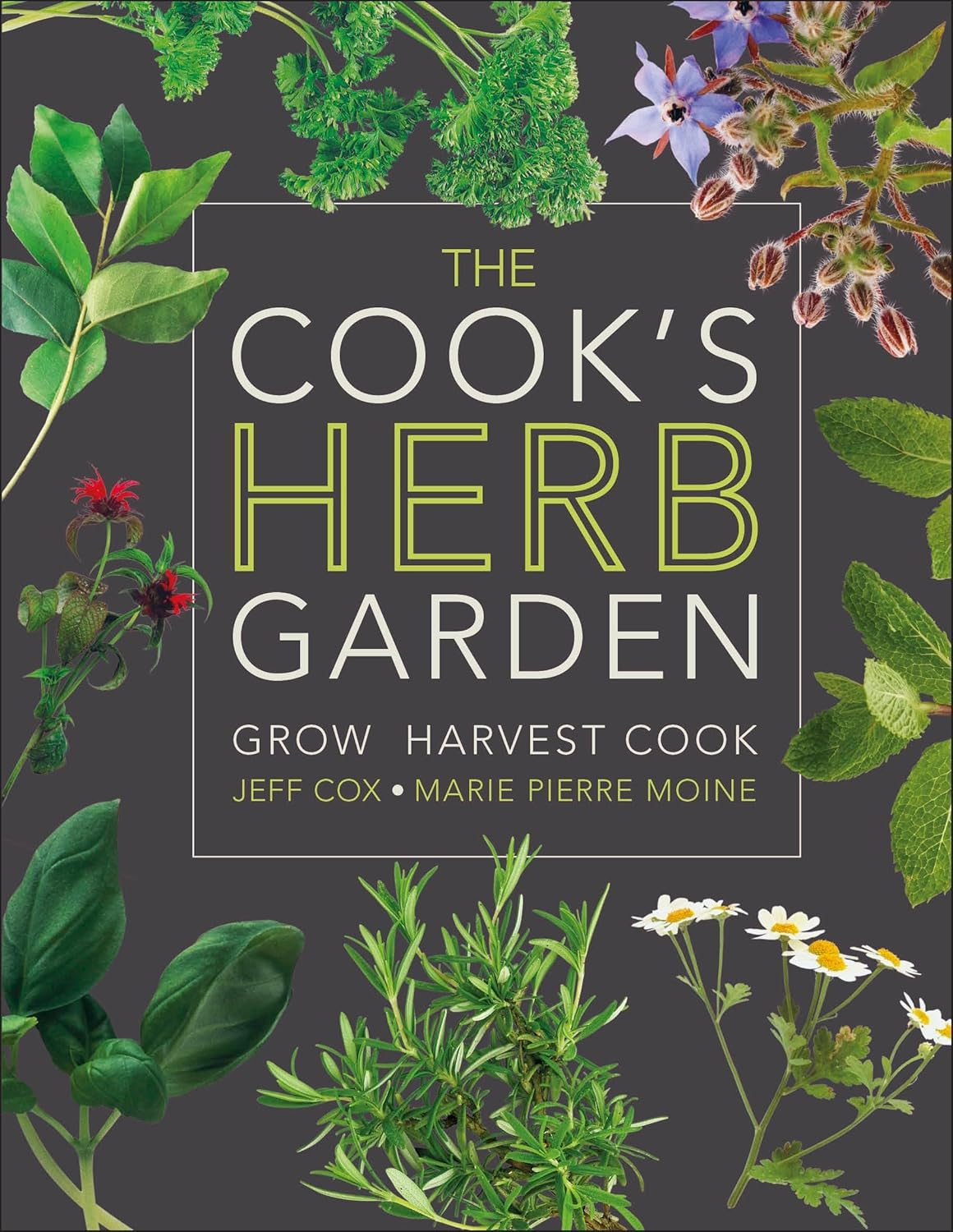 The Cook'S Herb Garden: Grow, Harvest, Cook image number 3