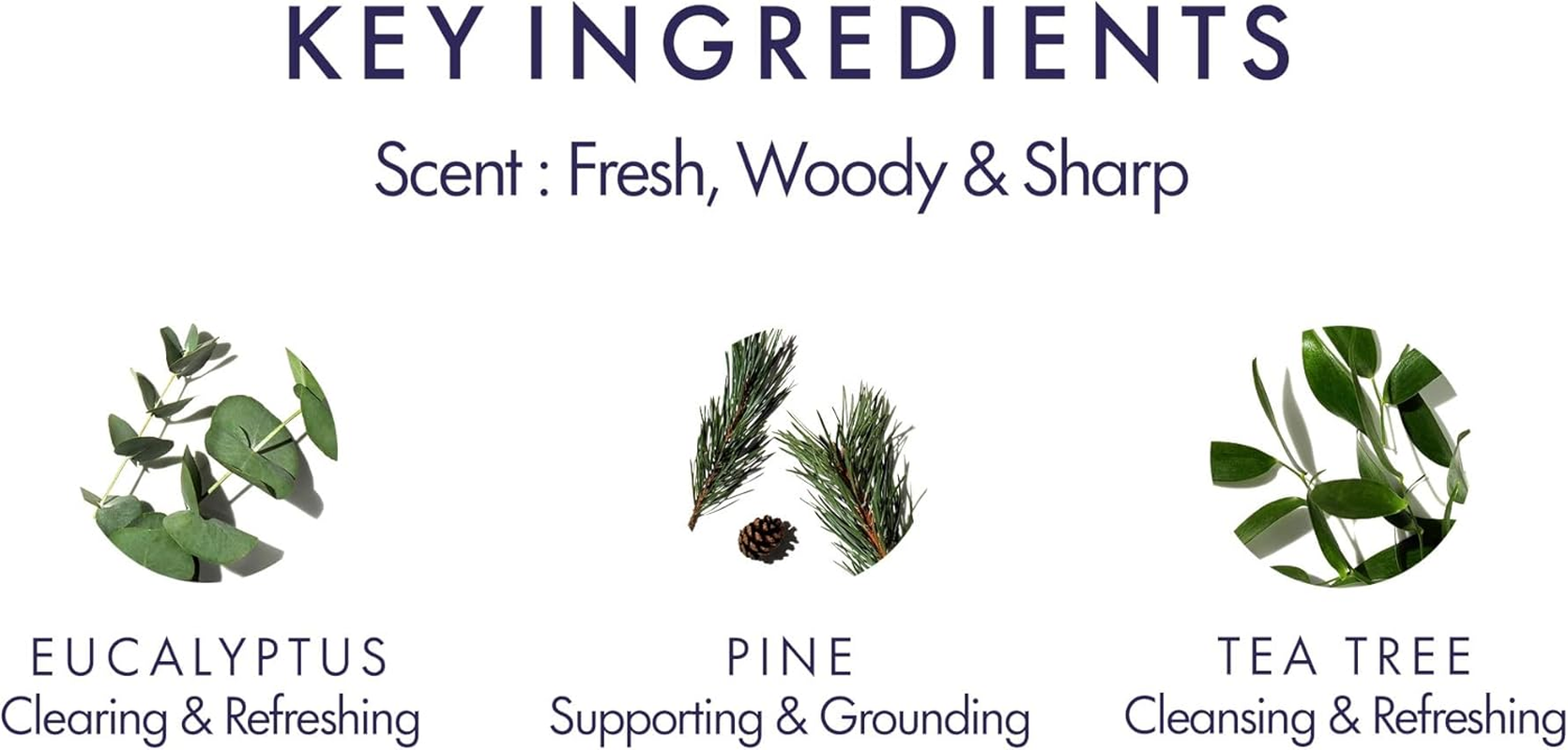 Aromatherapy Associates Breathe Pure Essential Oil Blend, 10 Millilitre