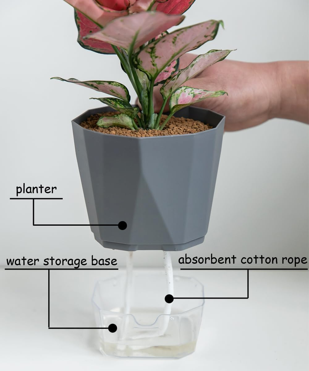 3-Pack Self Watering Planter Pots, 6.7 Inch Plastic Planters with Drainage Holes, Cotton Rope and Trays, Decorative Flower Pots for Indoor Outdoor Garden Plants (Multicolor) image number 5