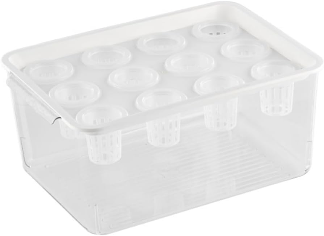 Transparent Plastic Rectangular Hydroponic Planter Box with Twelve-Hole Cover, Portable Micro Landscape Plant and Fish Tank, Ideal for Living Room Desktop Decoration, Durable Material