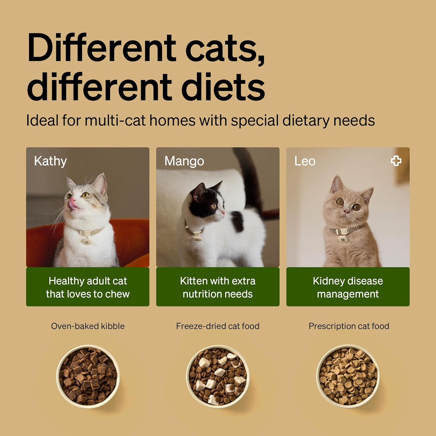 PETLIBRO RFID Automatic Cat Feeders for 2 Cats, Collar Sensor for Personalized Meals, Cats Recognition to Stop Food Stealing, Diet Tracking for Multi-Pet Homes and Different Diets, Wifi Food Dispenser image number 2