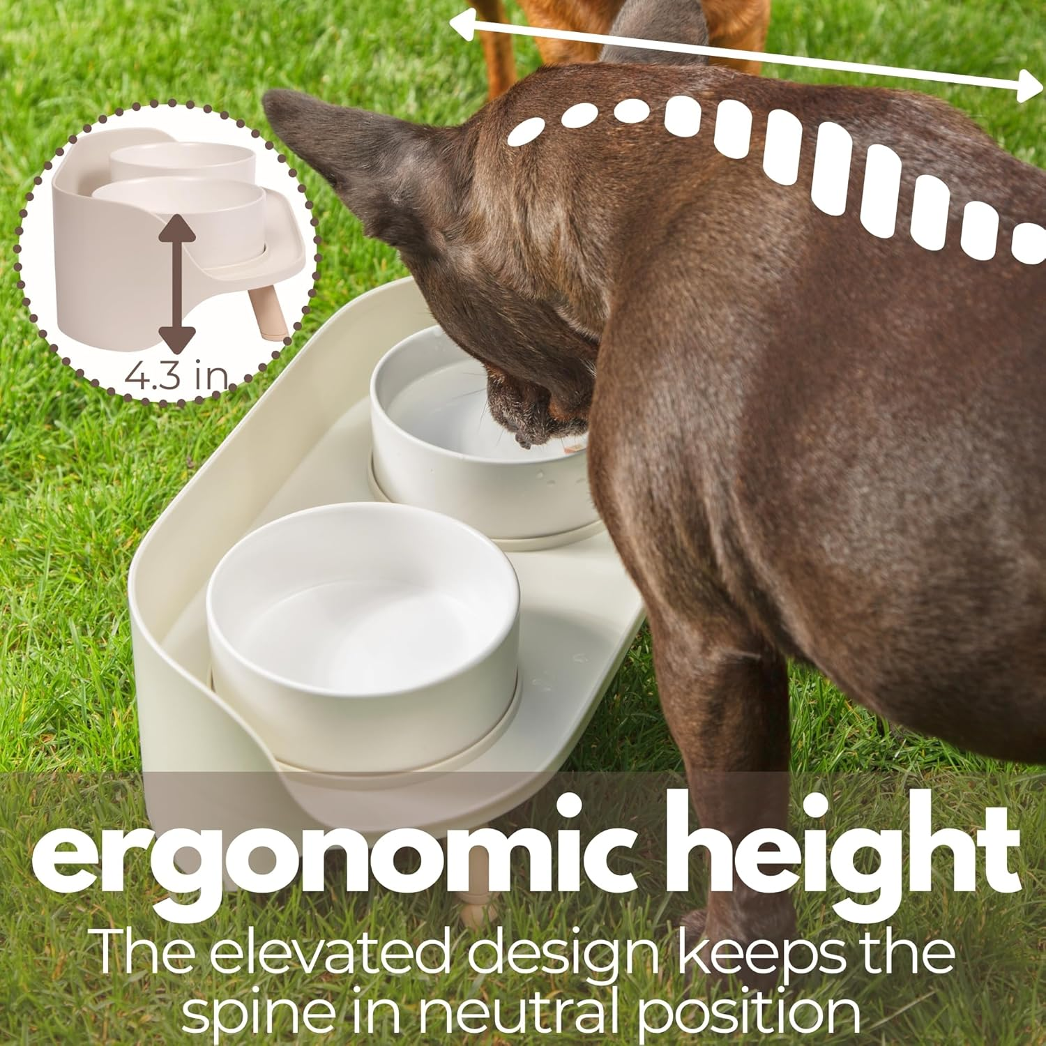 A4DOG Ceramic Dog Bowls with Stand - Elevated Dog Water and Food Bowl Set 13.5Oz Cat & Dog Feeding Station Spill Proof Splash Proof Raised Pet Food Bowls for Dogs, Green/White No Mess Pet Feeder image number 5