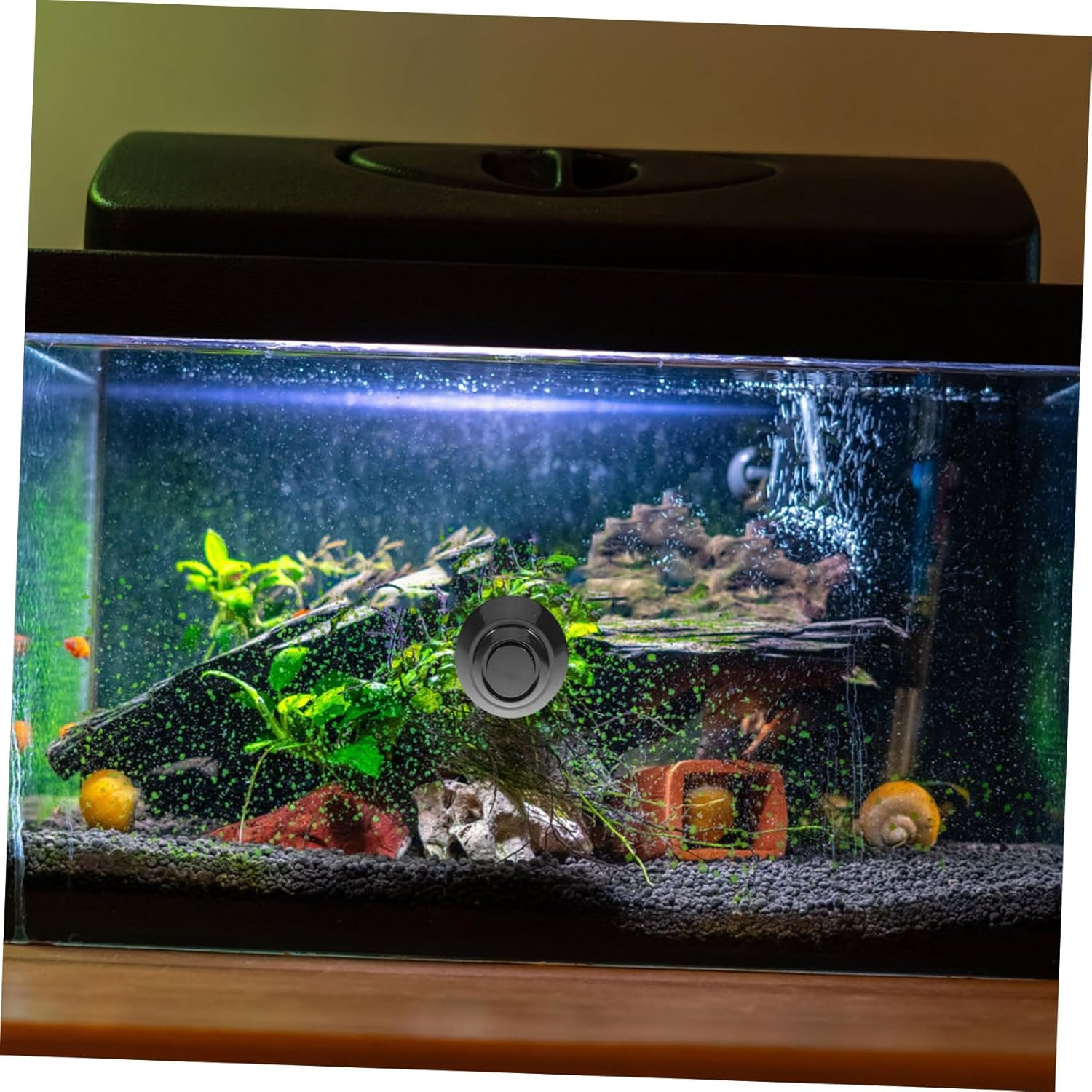 Yardwe 1Set Aquarium Magnetic Cleaning Brush Fish Tank Tool for Easy Algae Removal Scratch Design for Maintaining Healthy Aquatic Environments image number 3